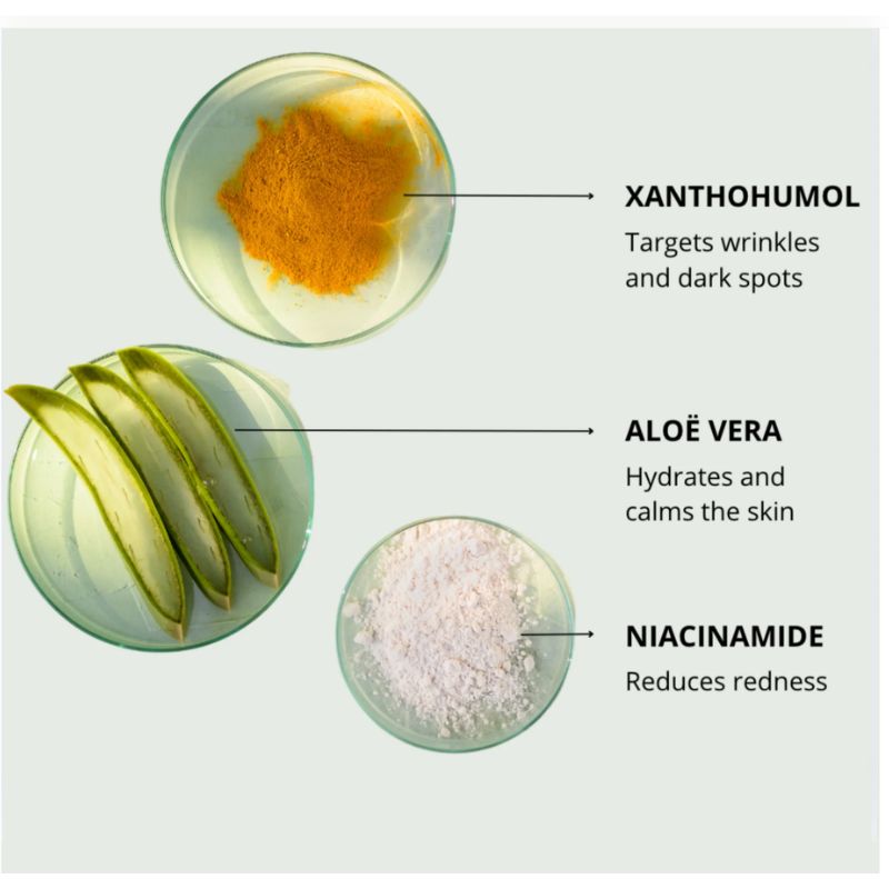 Xantho a/age soin creme jour peau seche 50ml nf