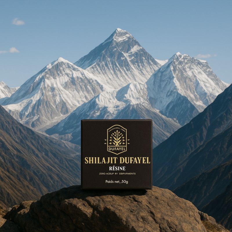 Shilajit resine 50g