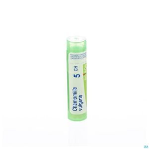 Chamomilla Vulgaris               5 Ch Gr 4 G Boiron