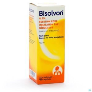 Bisolvon Sol Inhal 1 X100 Ml 2 Mg/Ml