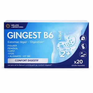 Gingest b6 liqui sticks 20x15ml