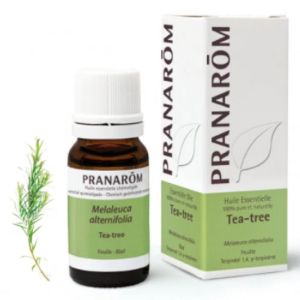 Tea Tree Huile essentielle 10 Ml Pranarom