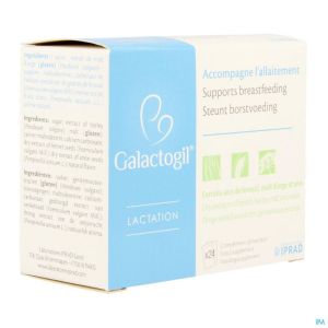 Galactogil Lactation 24 sachets poudre