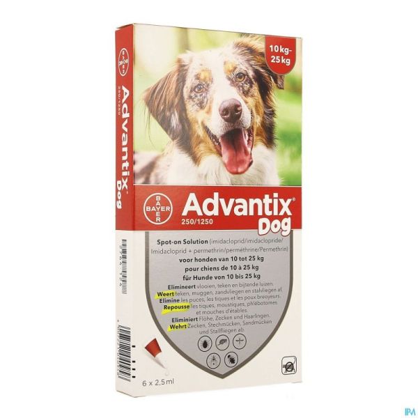 Advantix 250/1250 chiens 10